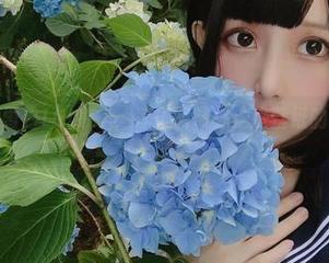 若隐若现的雪白LOLITA:凛子酱带你走进壁纸的卡哇伊世界。